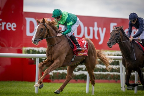 Galway Race Cards 27 July runners at Galway Racecourse before Monday's meeting