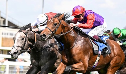 Salisbury Race Results 25 July featuring the complete six-race results at Salisbury Racecourse