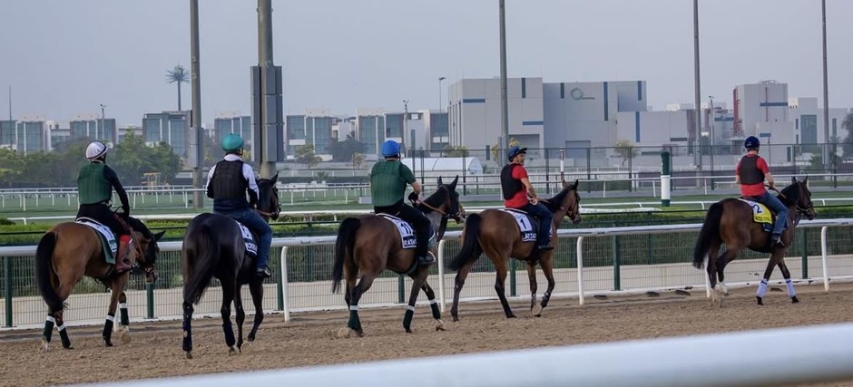 Vittel racecards 27 July 2026 flat racing action at Vittel Racecourse