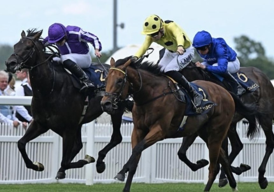 Goodwood racecards 28 July 2026 flat racing action at Goodwood Racecourse