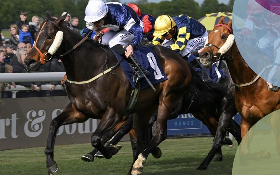 Beverley racecards 28 July 2026 flat racing action at Beverley Racecourse