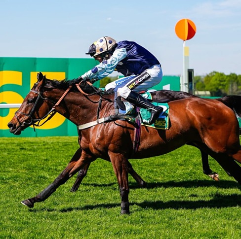 Sandown Park Race Cards 29 July featuring Wednesday's six-race programme