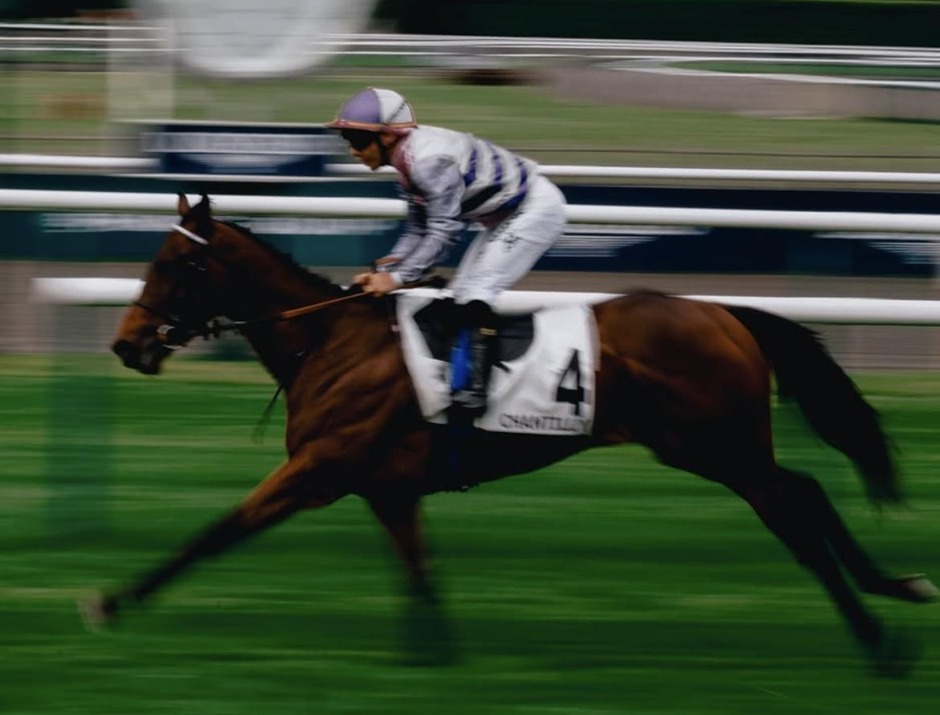 La Roche-Posay racecards 18 July 2026 flat racing action at La Roche-Posay Racecourse