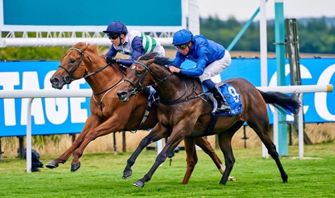 Goodwood Race Cards 29 July featuring the Sussex Stakes at Goodwood Racecourse