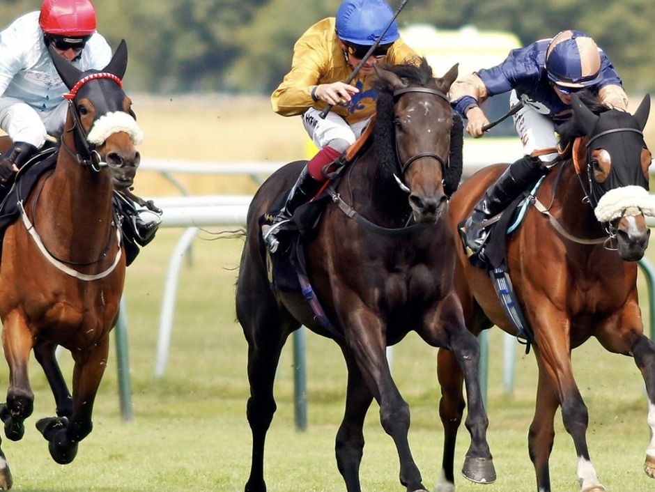 Nottingham racecards 30 July 2026 flat racing action at Nottingham Racecourse