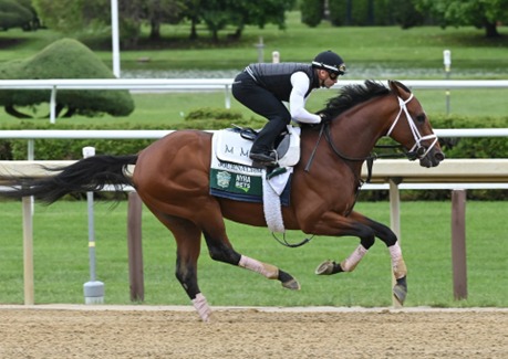 Saratoga Race Cards 30 July featuring the Grade 2 Glens Falls Stakes at Saratoga Racecourse