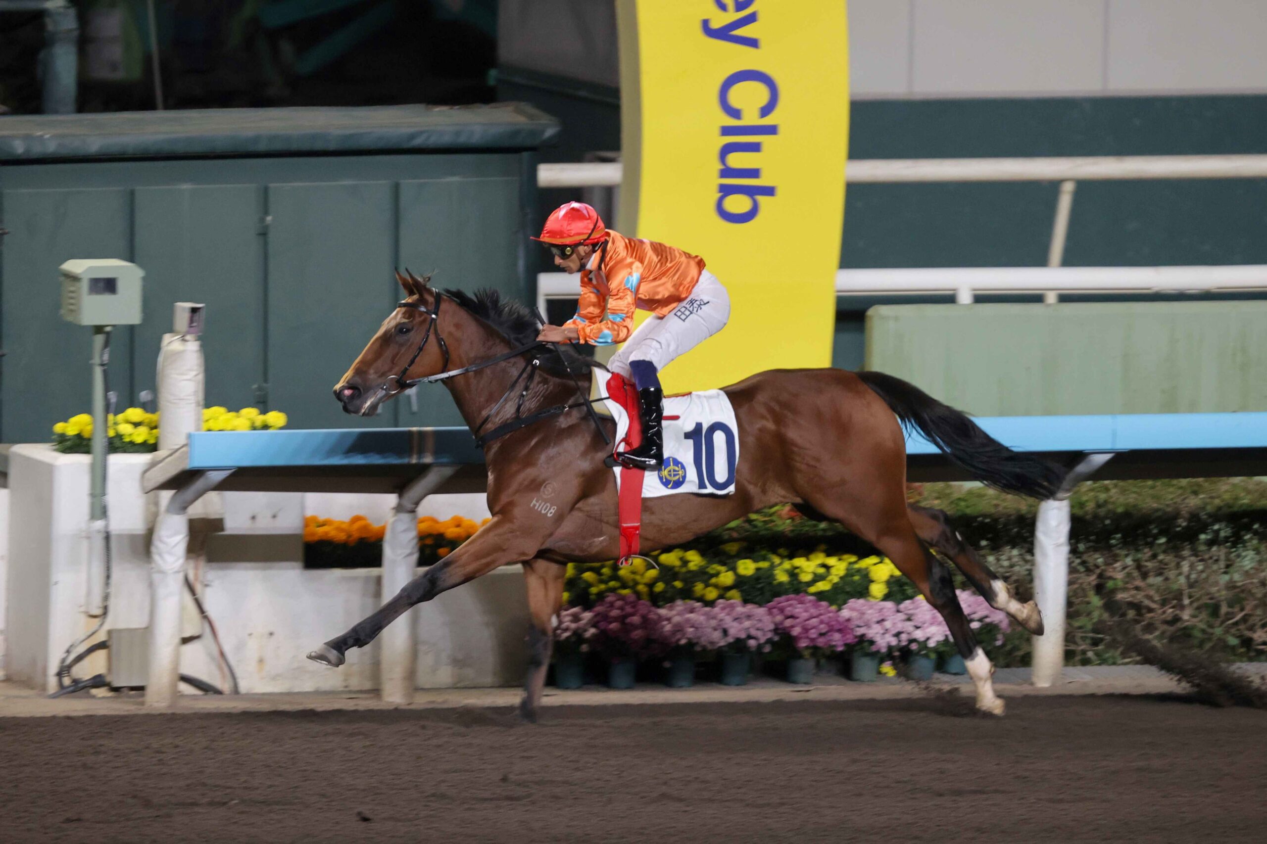 Sha Tin Race Preview : Speedy Smartie Eyes Success