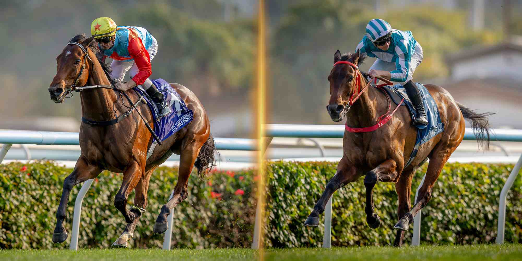 Ka Ying Rising and Romantic Warrior honoured at the Hong Kong Champion Awards 2026