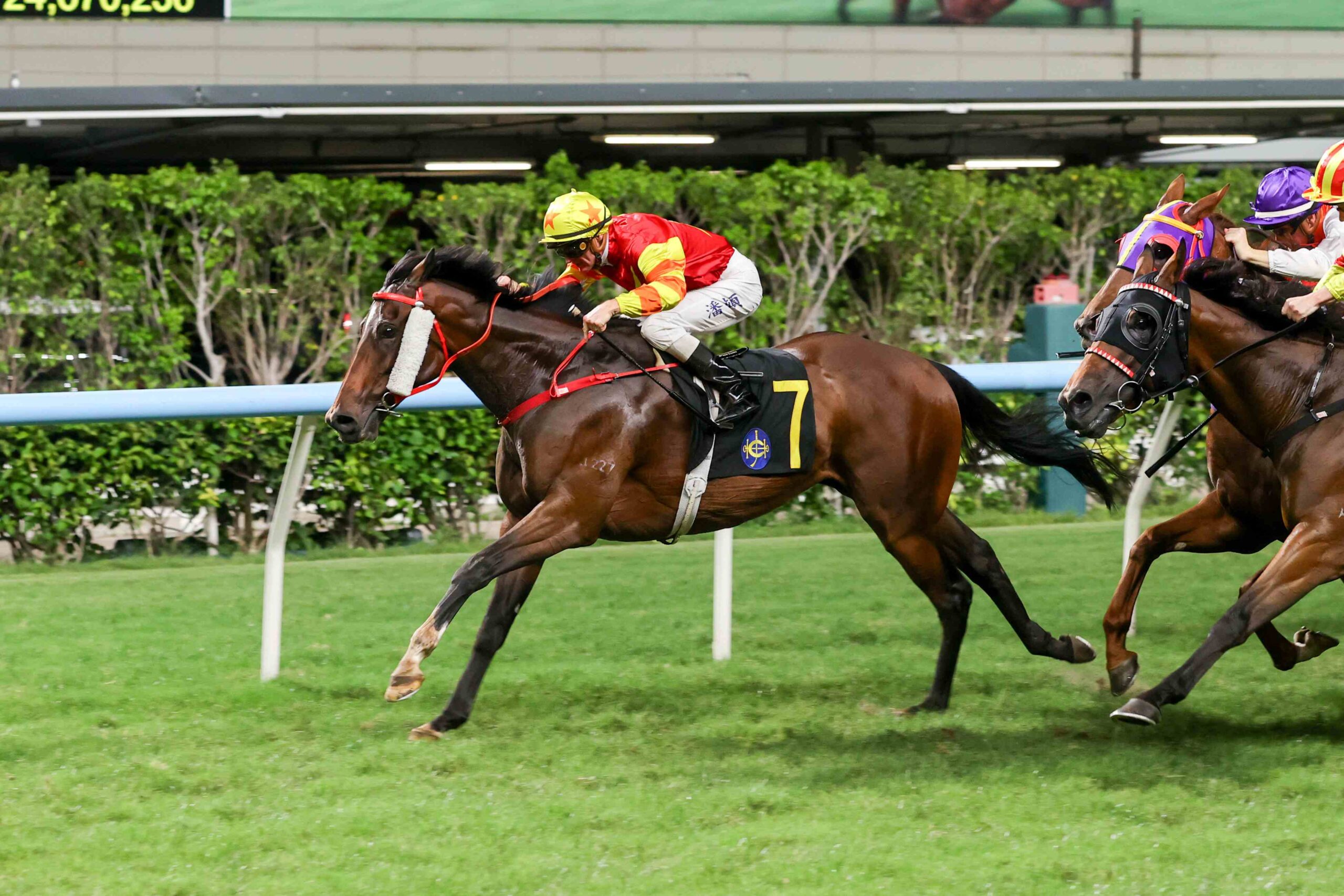 The Azure prepares for the football-themed Class 4 race at Happy Valley on 8 July.
