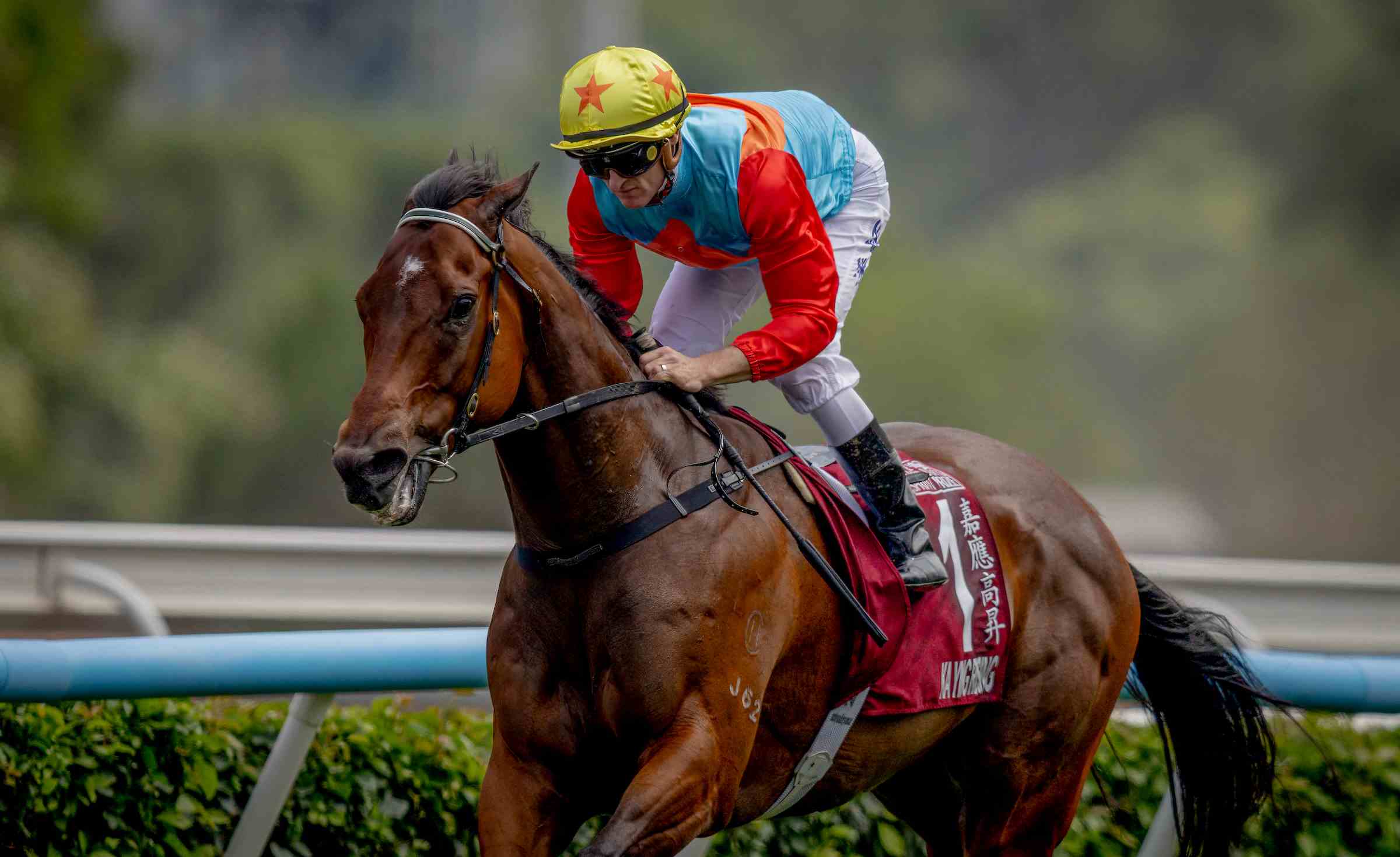 David Hayes discusses the importance of Conghua Racecourse in developing Hong Kong racehorses.