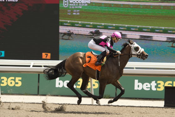 Hesatrooper prepares for Woodbine Victoria Stakes after debut victory