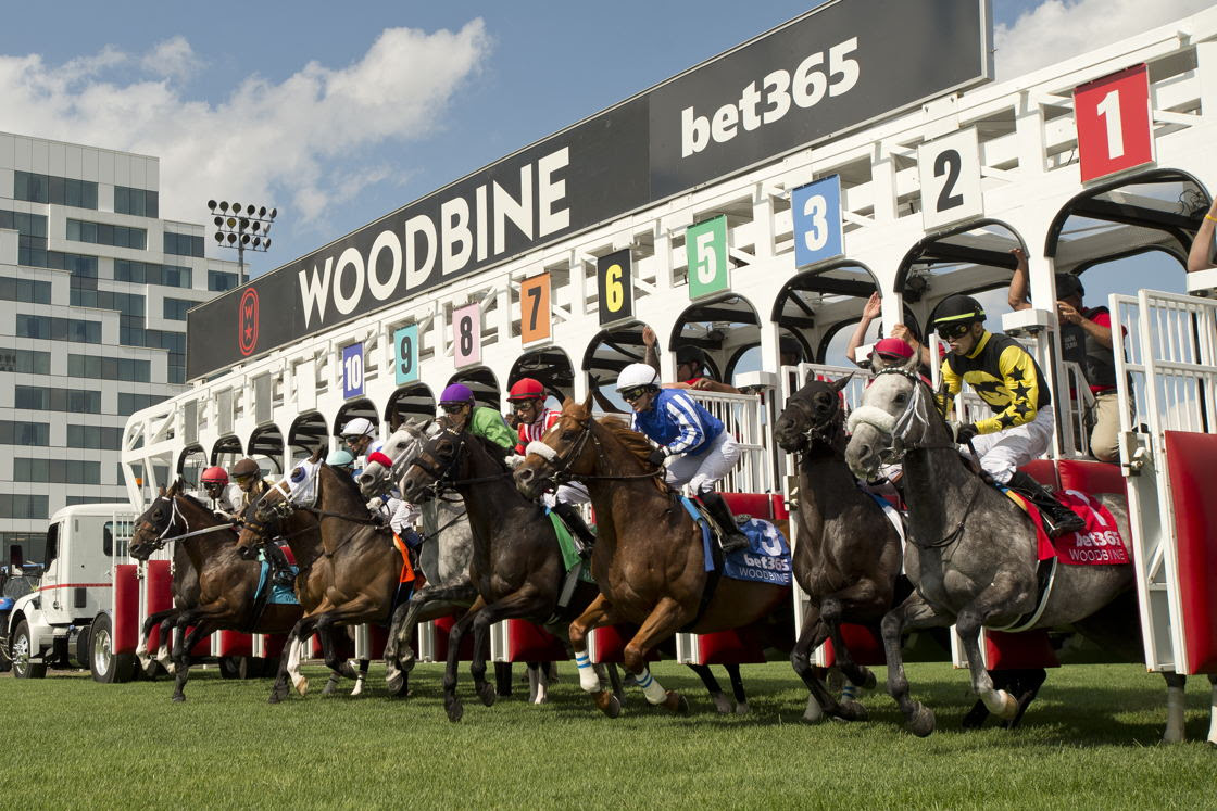 Woodbine Monday race card at Woodbine Racetrack on July 20, 2026