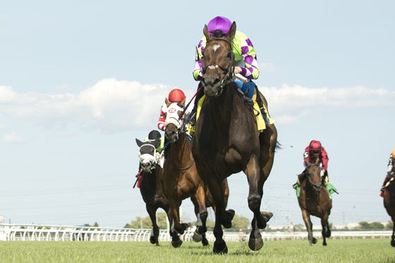 Vina Arana winning the Woodbine Nassau Stakes 2026 at Woodbine