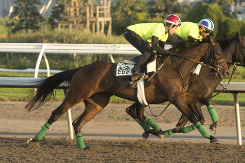 Woodbine racing cancelled after poor air quality forces Friday Thoroughbred meeting to be abandoned in Toronto.