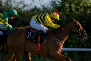 Amirite heads the field for the Kilbeggan Midlands National 2026 at Kilbeggan Racecourse