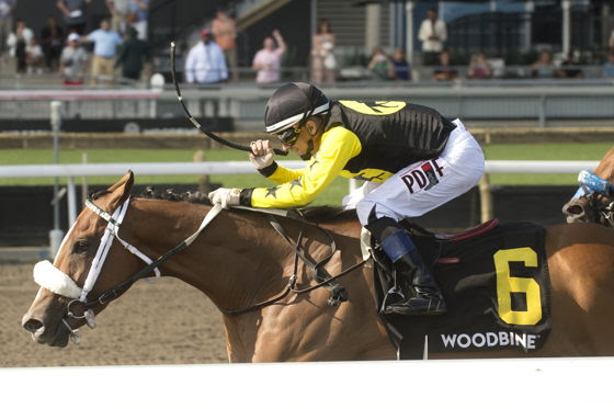 Highwaytothemoon wins Plate Trial Stakes 2026 at Woodbine