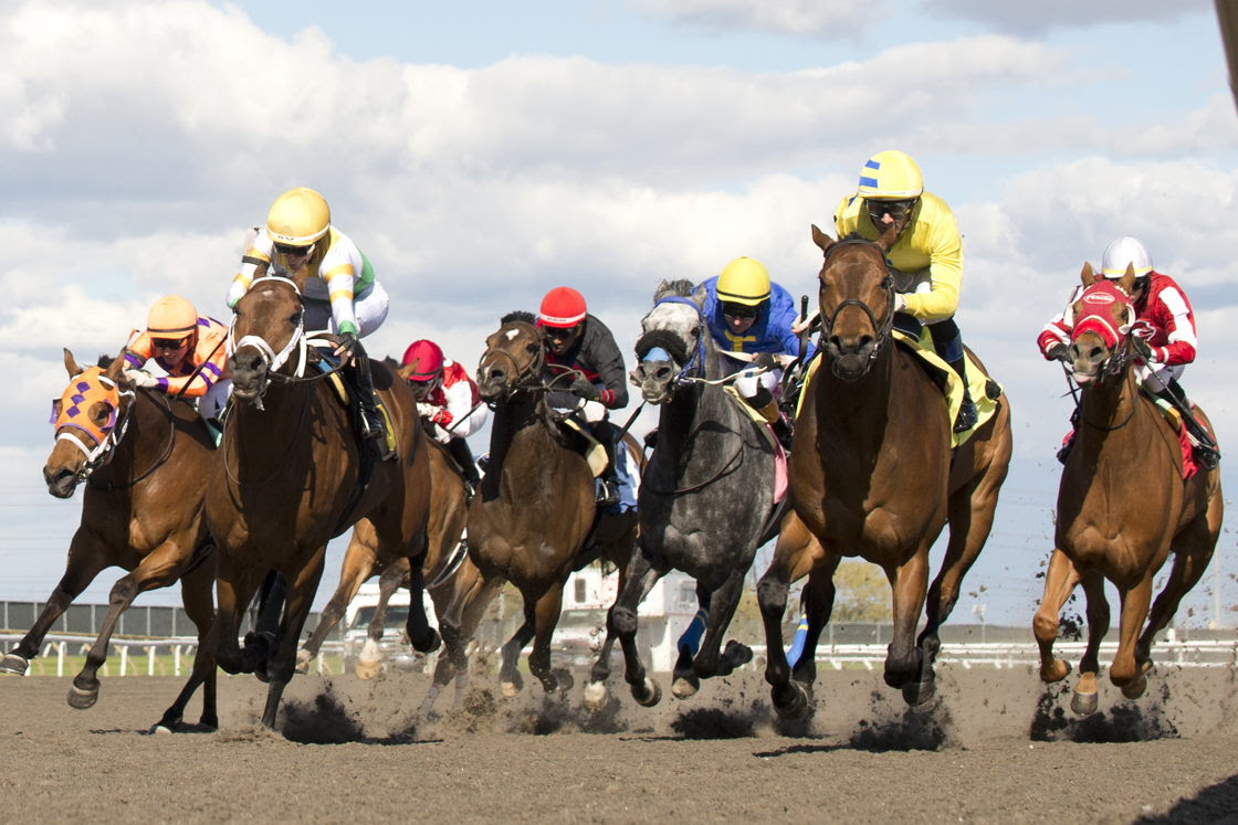 Woodbine Racetrack announces Friday racing cancellation due to ongoing underground infrastructure repairs.