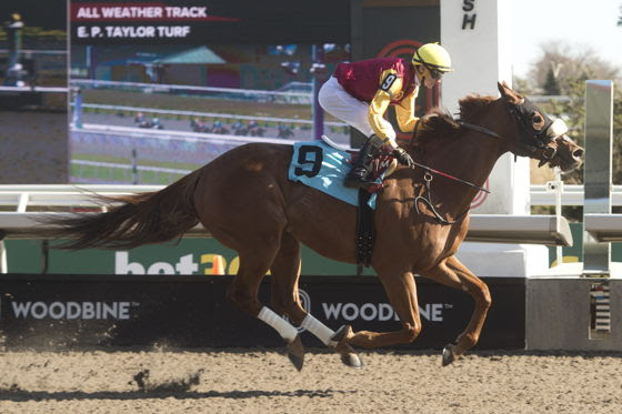 Poulin in O T prepares for the Pink Lloyd Stakes 2026 at Woodbine.