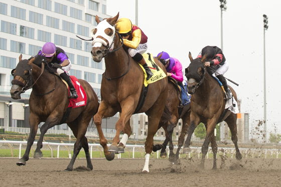 Poulin In O T battling down the stretch in Pink Lloyd Stakes at Woodbine