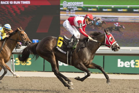 Sinclairity charging home in the Ballade Stakes at Woodbine