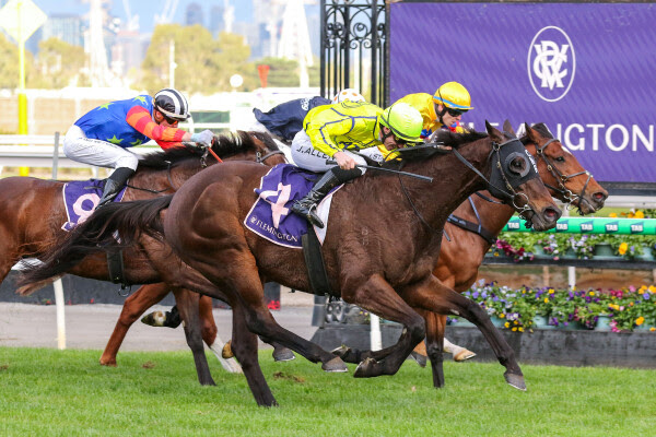 Detonator Jack's Triumph: Winter Championship Final win