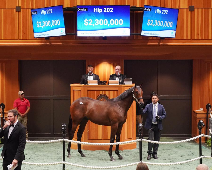 Dubai Racing Club announces partnership with Fasig-Tipton to expand international Thoroughbred racing