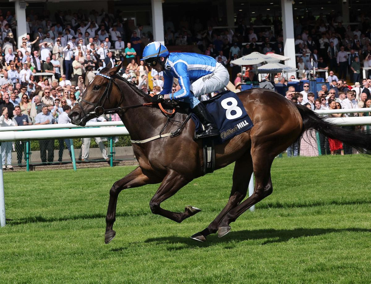 Venetian Sun ahead of the Newmarket July Cup 2026 Group One sprint race