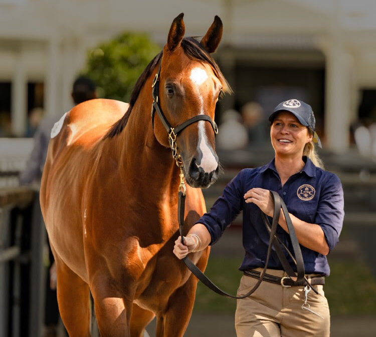 2027 Inglis Yearling Sales Series entries open for breeders after successful 2026 sales season