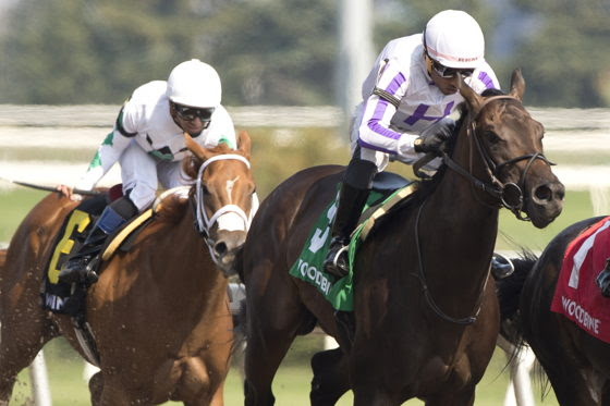 Uncle Dodo wins the Victoria Stakes at Woodbine under Romero Maragh.