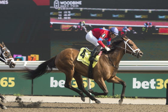 My Dear Stakes results as Ghost Me wins the Woodbine feature race