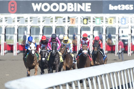 Woodbine purse enhancements 2026 announced for Thoroughbred racing season