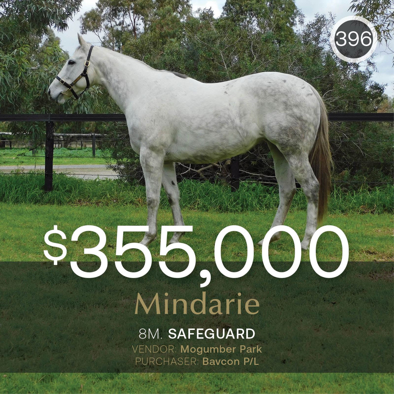 Mindarie sells for $355,000 to top the Inglis Digital July Sale results