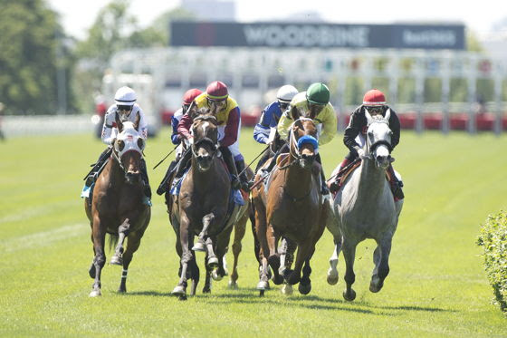 E.P. Taylor Turf Course at Woodbine set to reopen in August 2026 after renovation