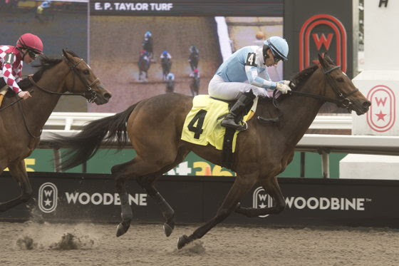 Dakotah Blue preparing for Ontario Colleen Stakes preview at Woodbine