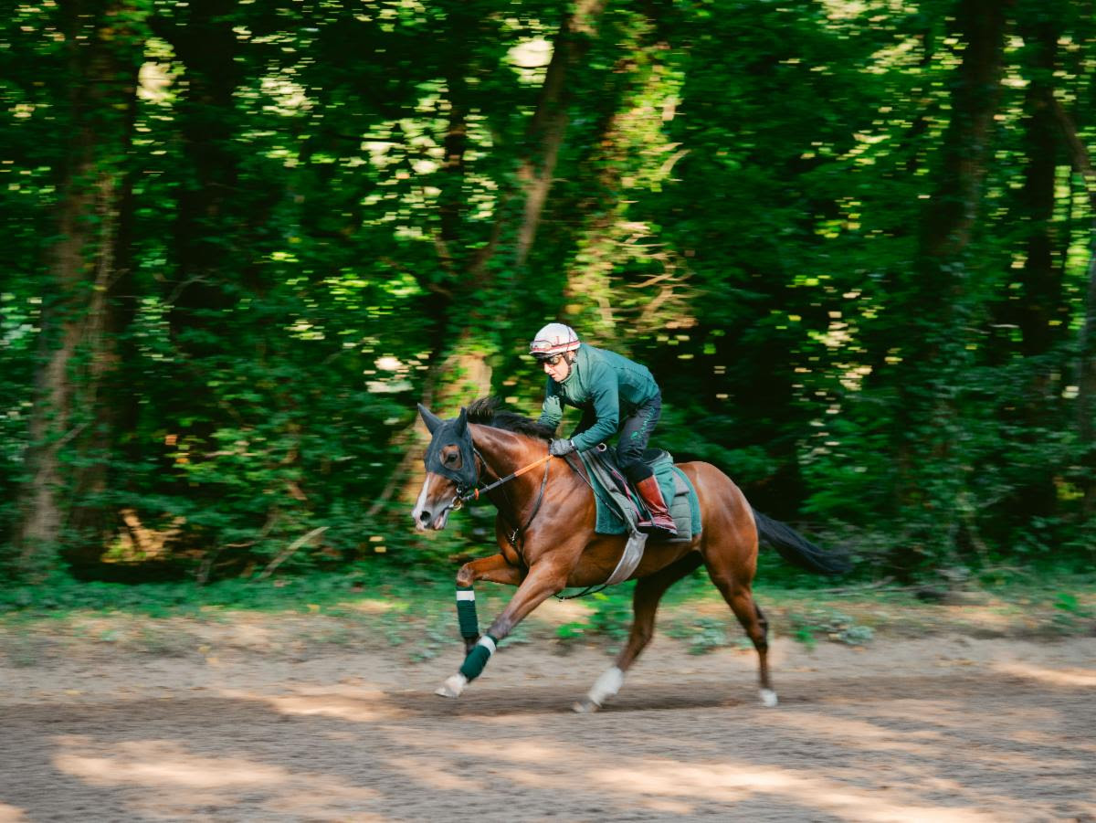 Calandagan prepares to defend the King George VI and Queen Elizabeth Stakes 2026 at Ascot