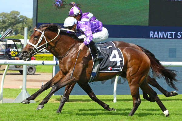 Karaka Group One winners 2025-26 celebrated after elite racing success across Australia and New Zealand