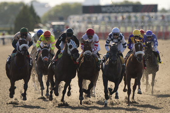 Fantastical heads the field for the Woodbine Trillium Stakes 2026 at Woodbine Racecourse.