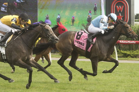 Ontario Colleen Stakes Results : Dakotah Blue Wins at Woodbine