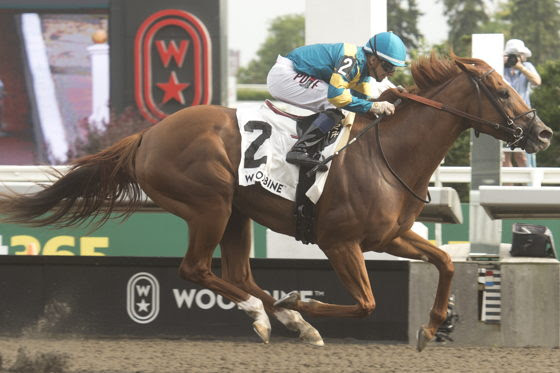 Creed's Gold winning the Hendrie Stakes 2026 at Woodbine