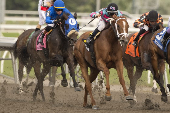 Fantastical winning the Trillium Stakes 2026 at Woodbine