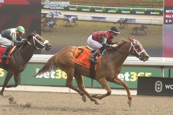 Splash of Bourbon winning the Thunder Bay Stakes at Woodbine Racecourse