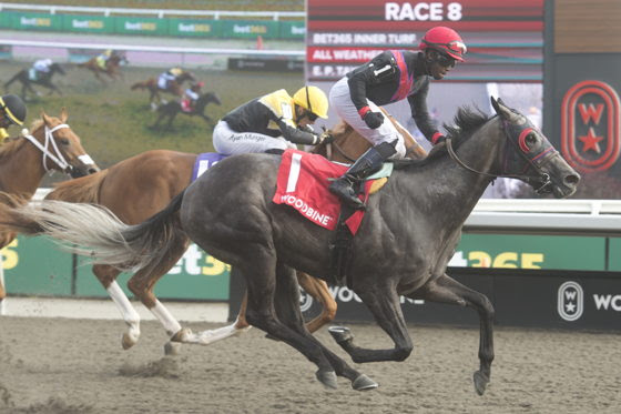 Humormeastory wins the Lake Superior Stakes at Woodbine after a powerful late run.