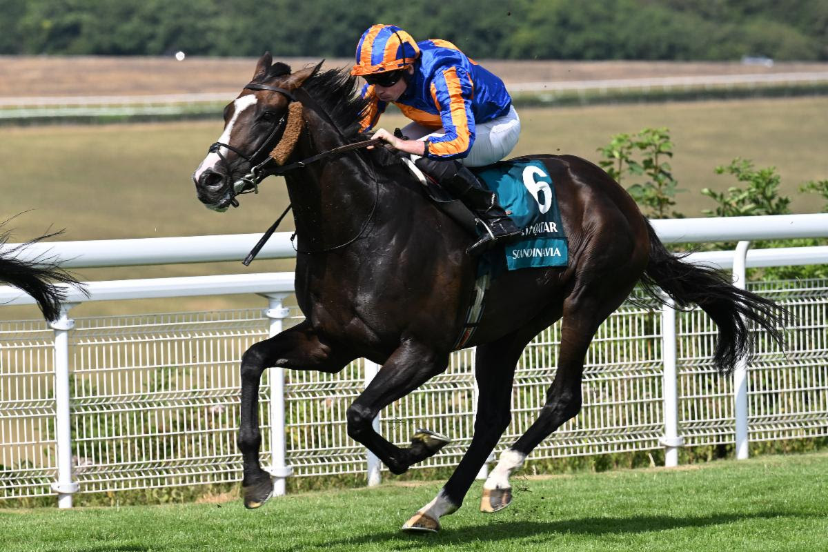 Scandinavia wins the 2026 Group 1 Goodwood Cup at Goodwood Racecourse.
