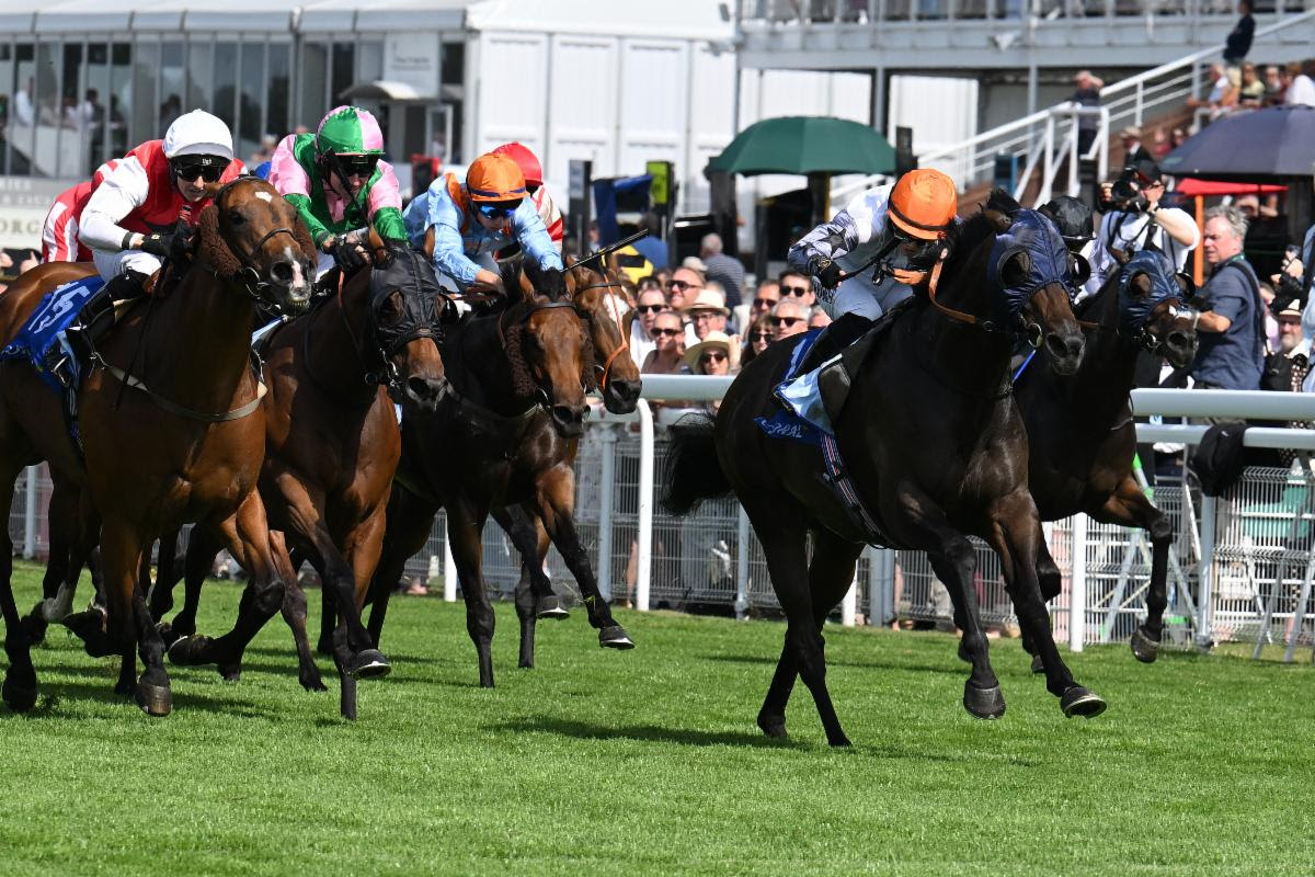 Twilight Calls wins the Coral Rewards Shaker Handicap under Saffie Osborne