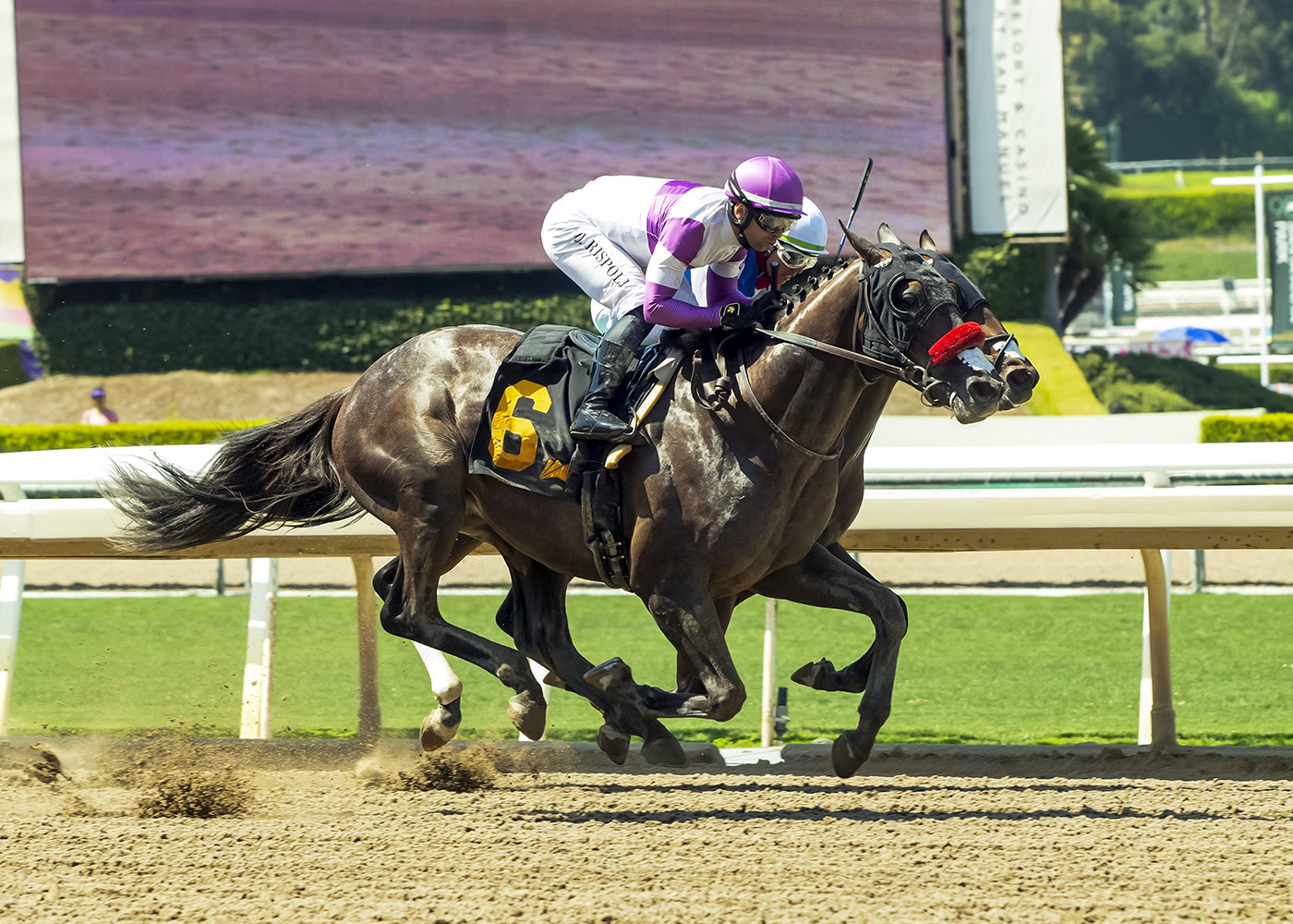 Pavlovian and competitors entered for Real Good Deal Stakes 2026 at Del Mar