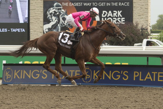 Paramount Prince and Lucky Guest prepare for the Seagram Cup 2026 at Woodbine
