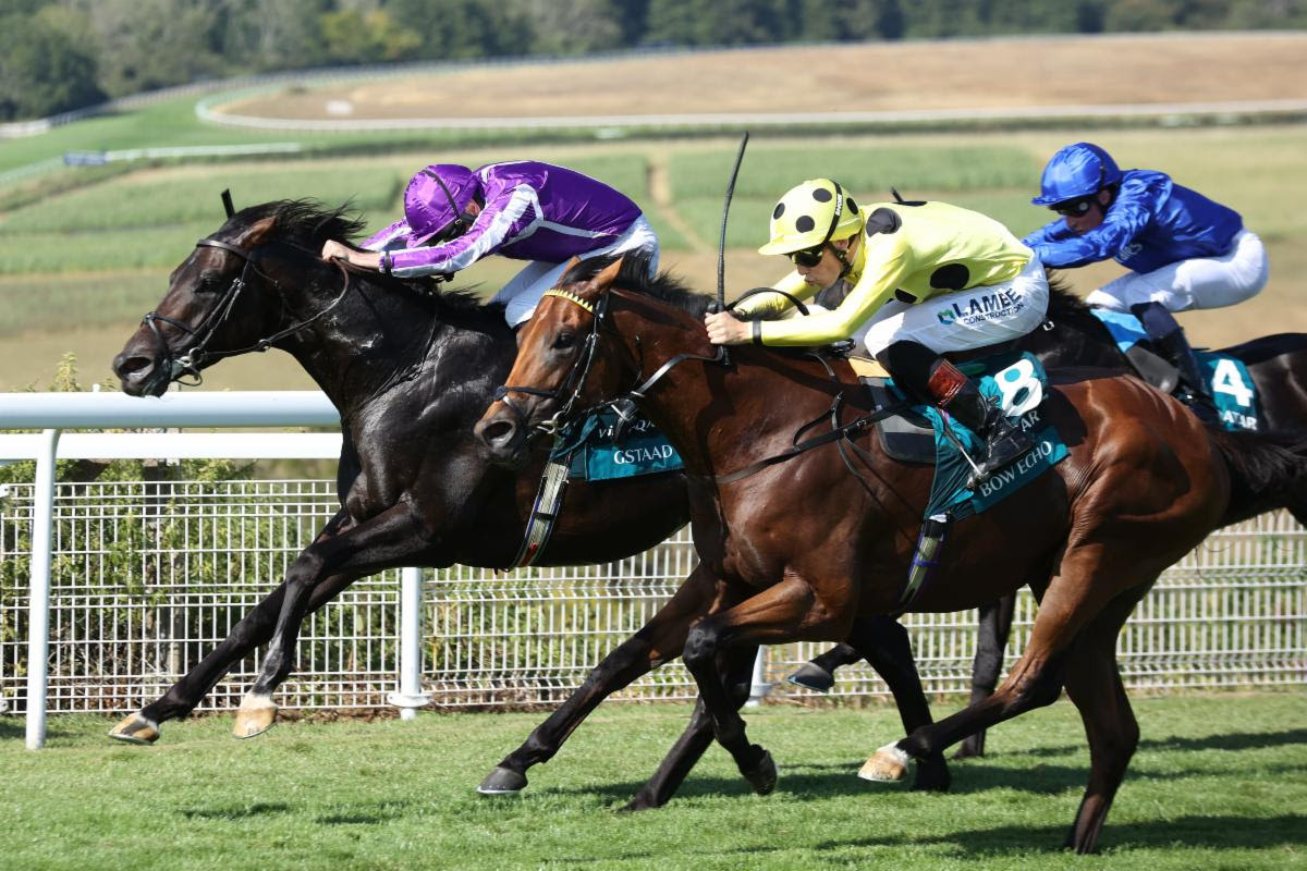 Bow Echo wins the Group 1 Sussex Stakes at Goodwood under Billy Loughnane.