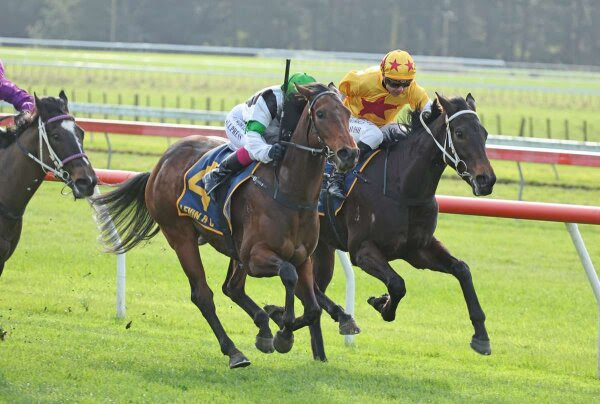 Back Of The Bus winning the Ryder Stakes at Otaki