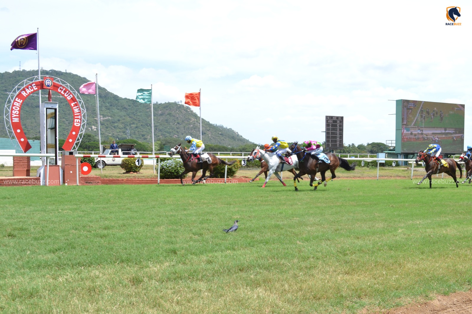 Mysore Race Cards 22 July preview featuring the eight-race programme at Mysore Race Club