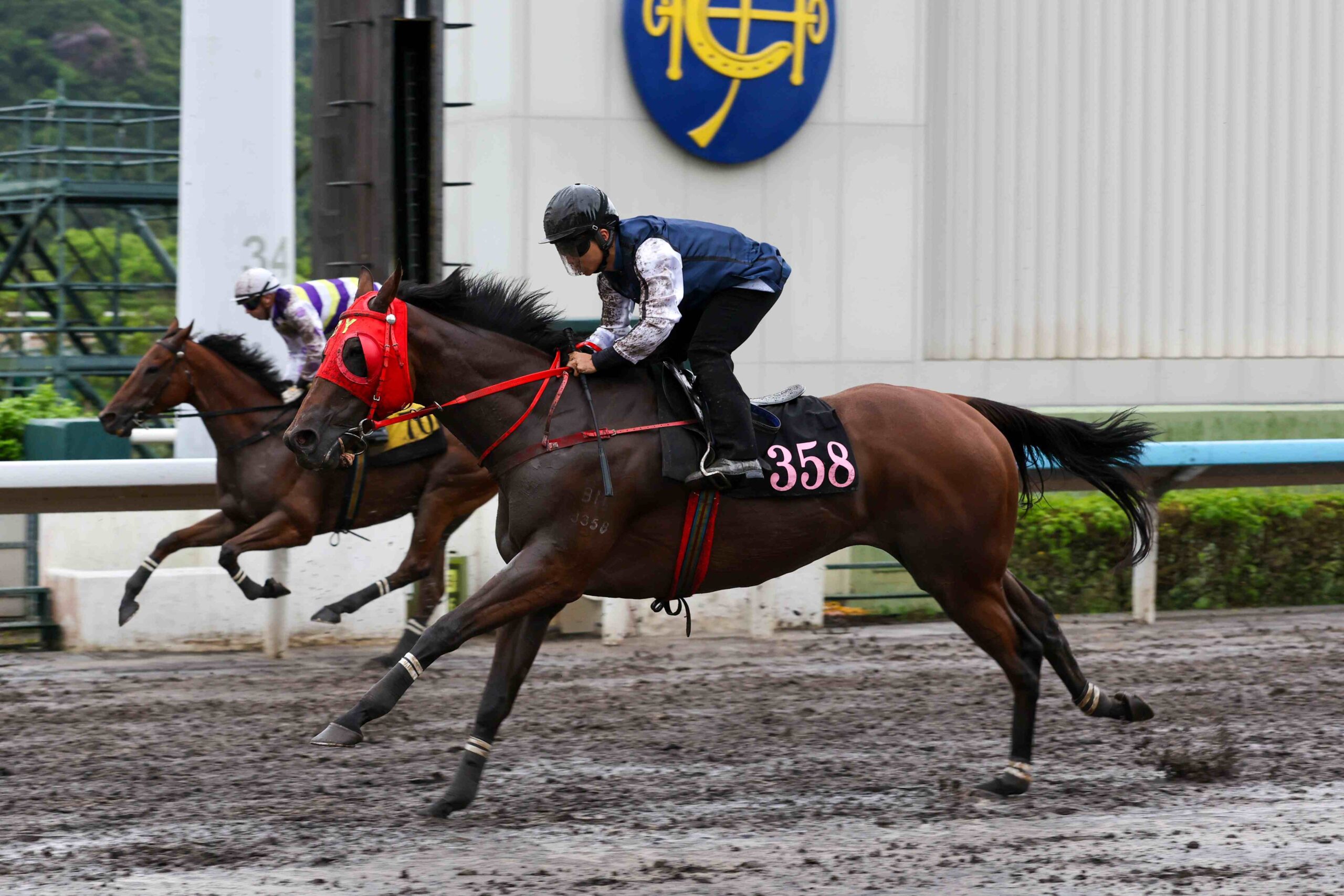 City of York Stakes 2026 contenders at York Racecourse